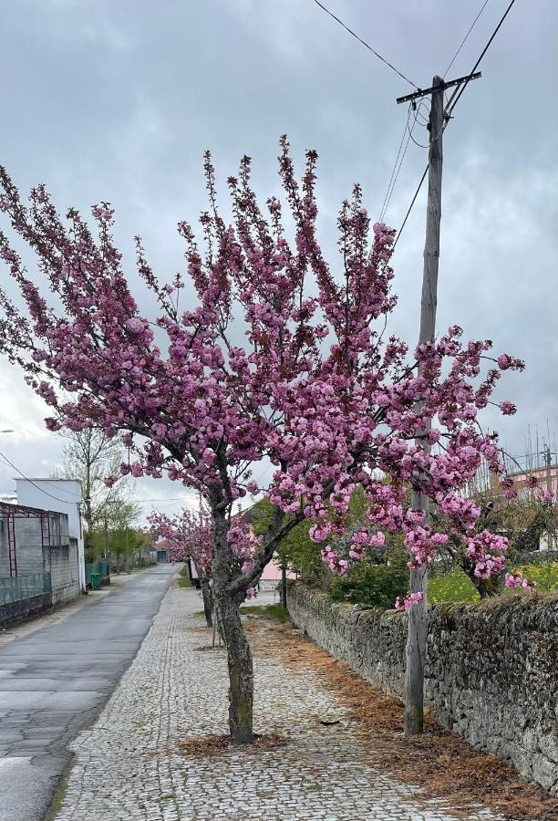 Vila Casa Da Burra Alijó Exteriér fotografie
