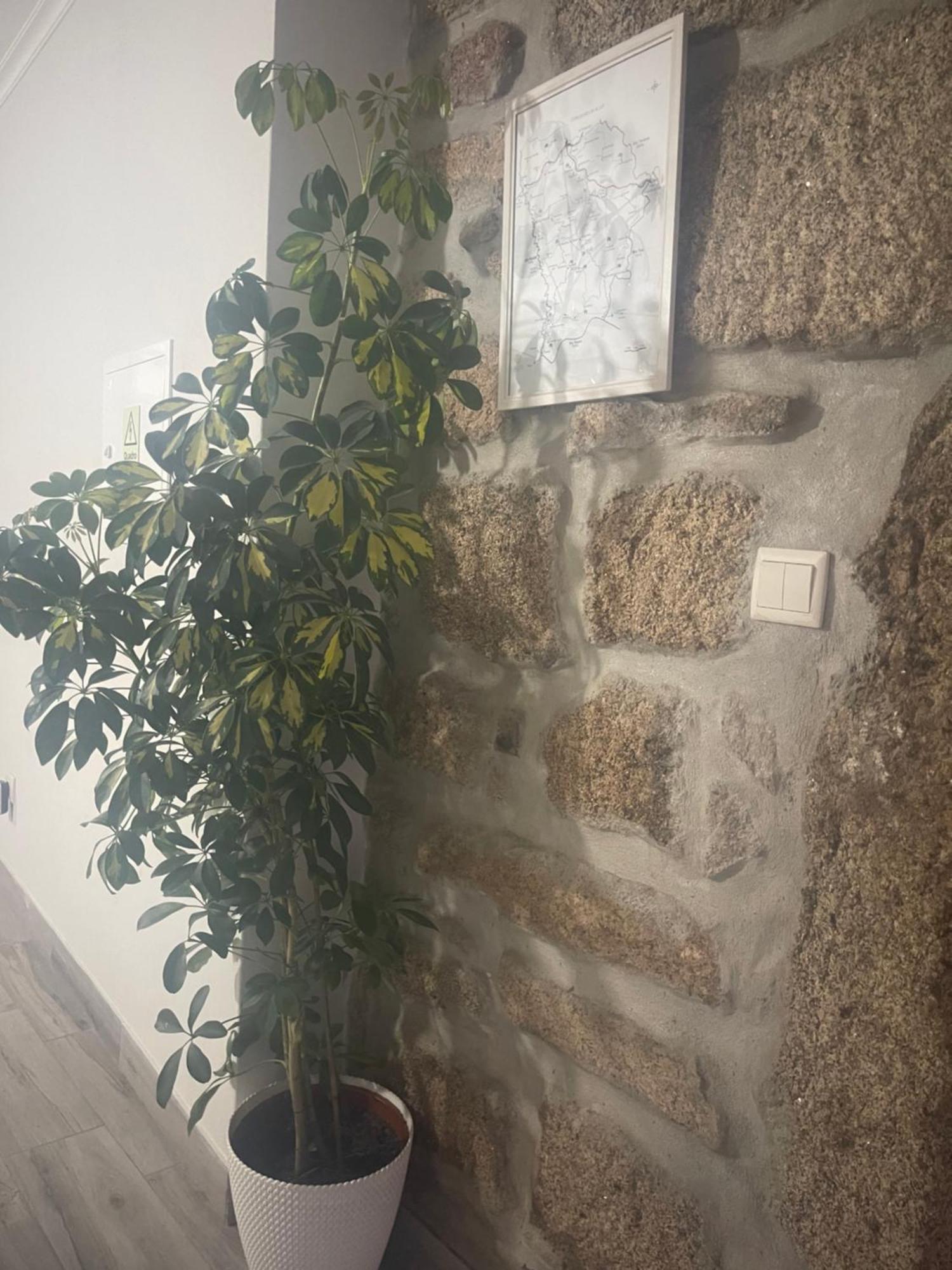 Vila Casa Da Burra Alijó Exteriér fotografie